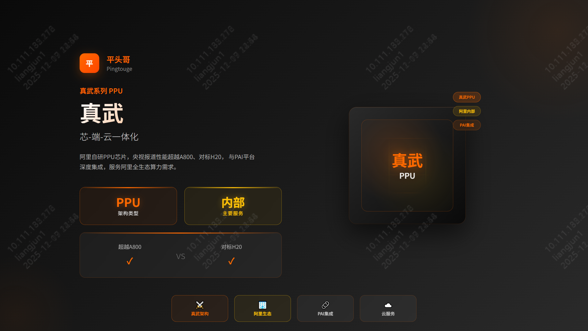 Alibaba PPU